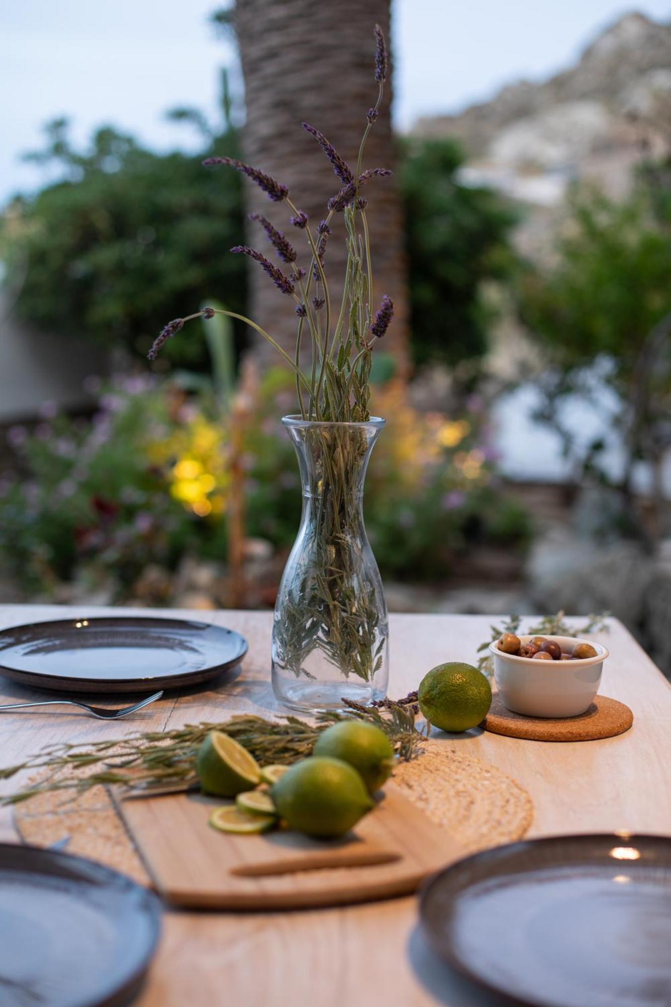 Levantes House Mykonos 아노 메라 외부 사진